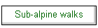 Sub-alpine walks