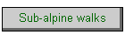 Sub-alpine walks