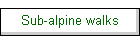 Sub-alpine walks