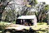mtb_roper_hut.jpg (30784 bytes)